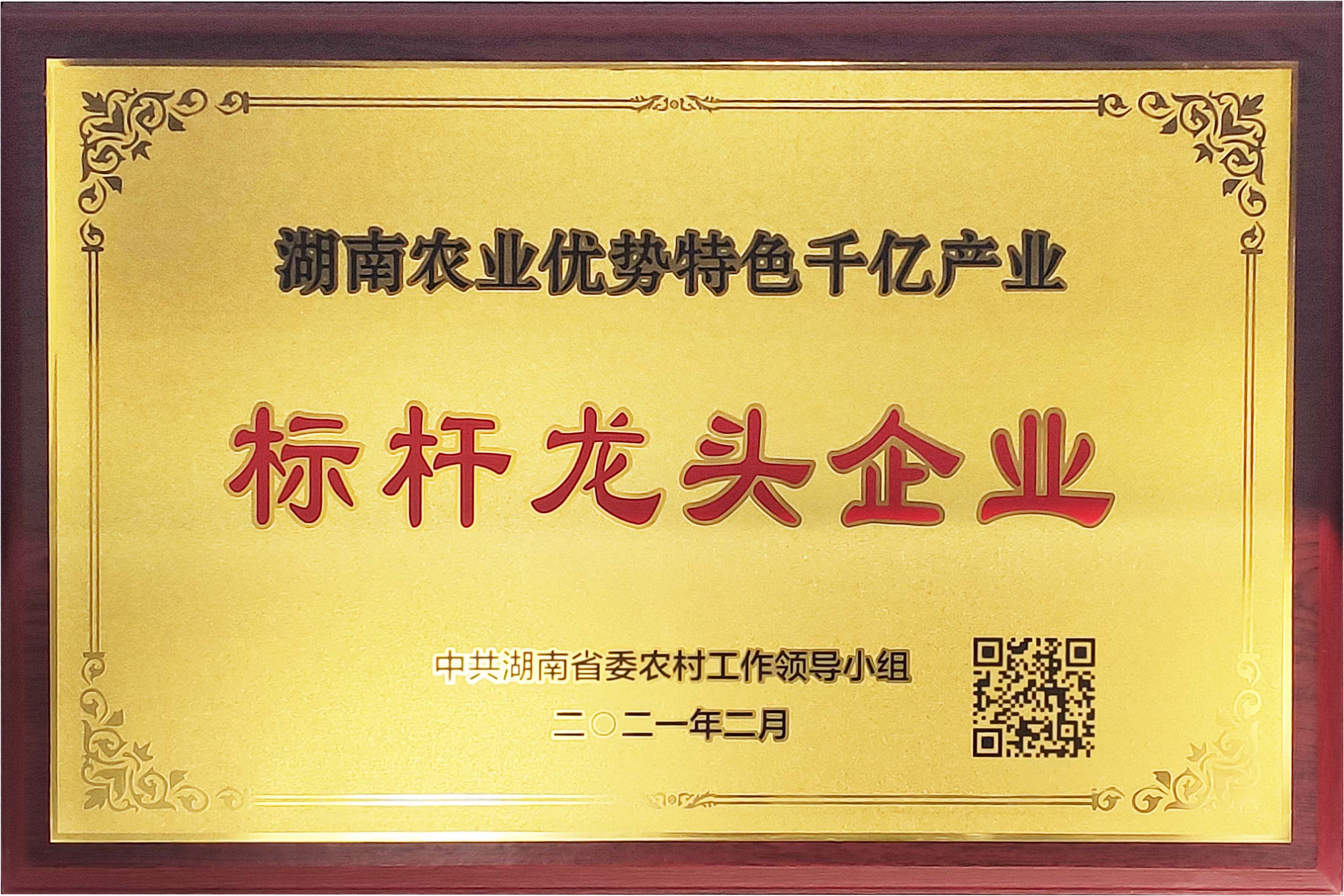 TapTap(点点)官方网站-Officials Website