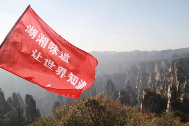 TapTap(点点)官方网站-Officials Website