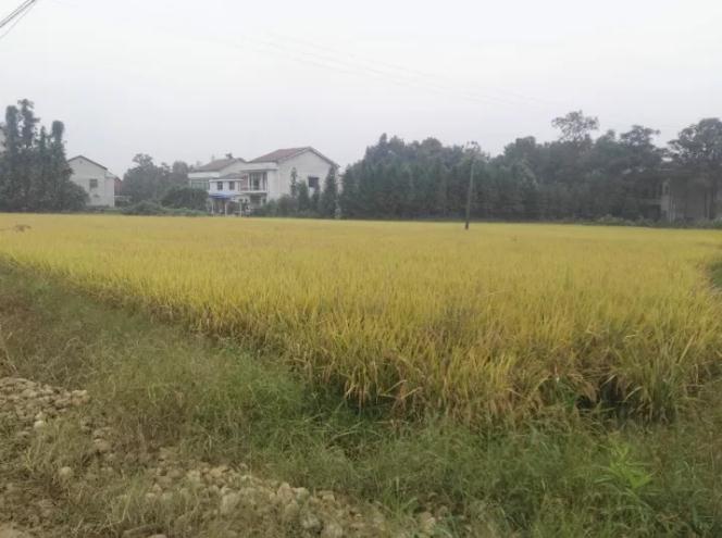 1-1P626154G4953 TapTap(点点)官方网站-Officials Website